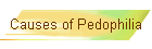 Causes of Pedophilia